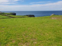 산림청, 우리나라 국토 최남단에서 한국잔디 4종 자생지 발견 기사 이미지