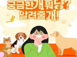 농림축산식품부, Q&A로 알아보는 반려동물 정책 관련 궁금증 기사 이미지