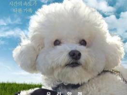 영화 ‘해피해피’, 5월 개봉 확정! 티저 포스터 공개! 기사 이미지