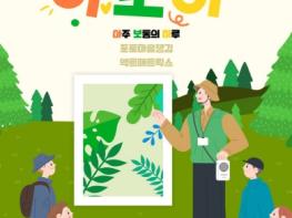 서귀포시, 청년의 행복과 성장을 위한 아보하 숲에 오세요 기사 이미지
