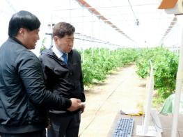 제주도, 가성비 스마트팜 성공사례 주목 기사 이미지