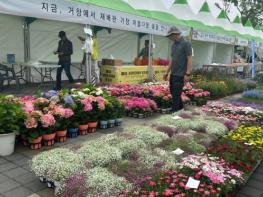 거창군, 2025년 제6회 거창아리미아꽃축제 성황리 개최 기사 이미지