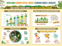 산림청, 꿀벌 보호와 양봉산업 지원 위해 밀원수림 확대 조성한다 기사 이미지