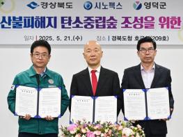 경북도, 기업 협력으로 산불피해지에‘탄소중립숲’조성 기사 이미지