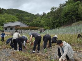 전남도 농림축산식품국, 농촌일손돕기 나서 기사 이미지
