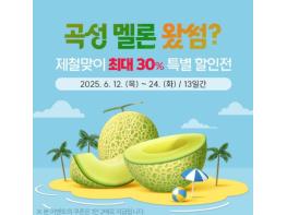 곡성몰, 곡성멜론 제철맞이 최대 30% 특별전 진행! 기사 이미지