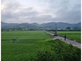 화순군, 벼 친환경재배지 공동방제비 지원  기사 이미지