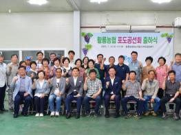장성군 “맛있는 장성산 캠벨포도 출시” 기사 이미지