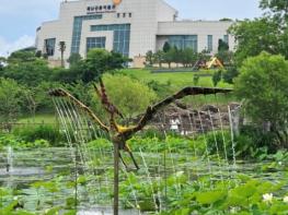 해남공룡박물관의 여름, 연꽃사이 펼쳐진 신비로운 공룡세계 기사 이미지