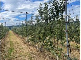순천시, 농업인과 함께 과수 신기술 벤치마킹 추진 기사 이미지