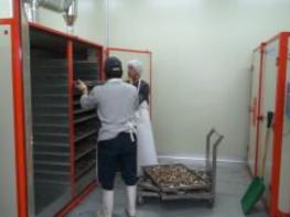 농촌진흥청, 약용작물 수확 후 관리 요령 안내 기사 이미지