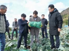 제주도, 한경면 월동채소 현장 점검…새해 두 번째 민생 경청 기사 이미지