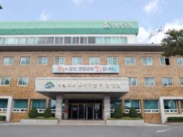 영암서 전국어린이바둑왕전, 벚꽃마라톤대회 열린다 기사 이미지
