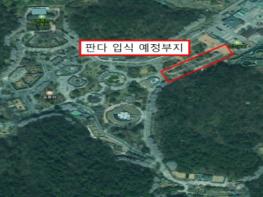 판다 오면 국민 곁으로… 기후부 장관, 광주 우치동물원 현장 점검 기사 이미지