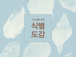 국가유산청, 한반도 패총·고분 출토 '조개껍데기' 가공 재료 분석 결과 발표 기사 이미지