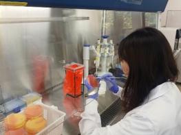 대구시, 설 성수식품 안전성 검사 실시 “설 차례상 걱정 없이 준비하세요” 기사 이미지