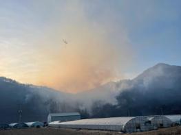 경남도, 양산 원동면 용당리 산불 총력 대응 기사 이미지