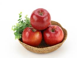 농촌진흥청, 설 앞두고 국산 과일 소비 촉진…사과·배 똑똑하게 고르기 기사 이미지