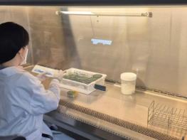 전남보환연, 설 연휴 감염병 비상대응체계 가동 기사 이미지