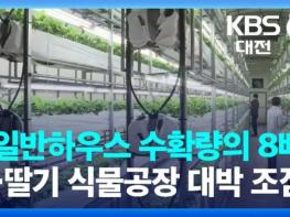 인존장학복지재단–팬텀엑셀러레이터, 미래형 딸기 식물공장 전국 확장 프로젝트 본격 추진 기사 이미지