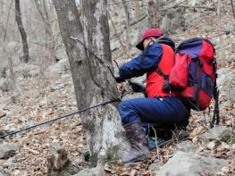 ‘숲이 주는 선물’ 장성군 고로쇠 수액 본격 출하!  기사 이미지