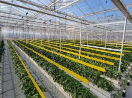 경남도, 올해 시설원예 현대화에 234억 원 투입 기사 이미지