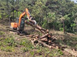 고흥군, 기후위기 대응 ‘산불에 강한 숲 가꾸기’ 사업 추진 기사 이미지