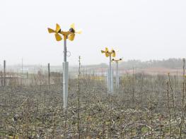 농촌진흥청, 과수 개화 전후 저온 피해 대응 현장 기술지원단 운영 기사 이미지