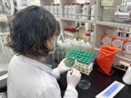 전남서 올해 첫 비브리오패혈증균…어패류 익혀드세요 기사 이미지