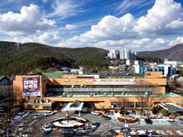 태백시, 2026년 다자녀 가정 교육비 지원 기사 이미지