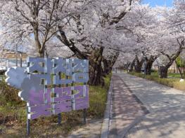 울주군, ‘제7회 울주 작천정 벚꽃축제’ 개최 기사 이미지