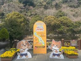 서귀포시, 천지연 폭포 걷고 미션 수행하면 선물이 팡팡! 기사 이미지