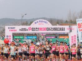 제25회 합천벚꽃마라톤대회 전국적 흥행 속 마무리…‘완성형 마라톤’ 입증 기사 이미지
