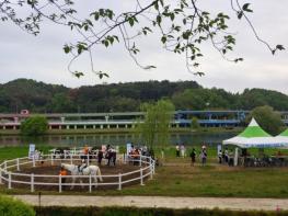 순천시, ‘정원 속 힐링승마체험’ 2천여 명 참여 성황 기사 이미지