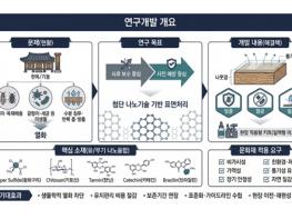 전남대, ‘문화유산 지키는 기술’ 만든다 기사 이미지