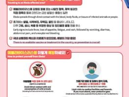 제주도, 에볼라바이러스 유행 대비 검역·방역 대폭 강화 기사 이미지