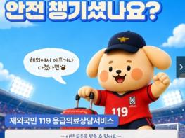 소방청, 해외에서 아프거나 다쳤다면? 기사 이미지