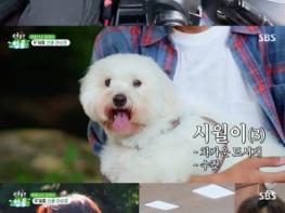[SBS 산골총각 영웅] 첫 방송부터 시청률 1위! 분당 최고 시청률 6.5%까지 치솟아 기사 이미지