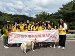 자원봉사 홍보도 AI 시대… 울산동구자원봉사홍보단 역량강화교육 기사 이미지