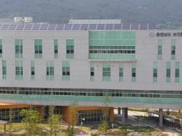 충남도 보건환경연구원, 올해 첫 일본뇌염 매개 모기 발견 기사 이미지