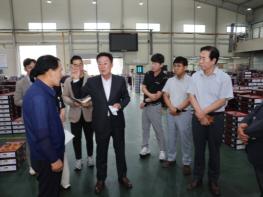 청도 복숭아 전성시대”농심[農心] 격려 및 소득 증대 총력 기사 이미지