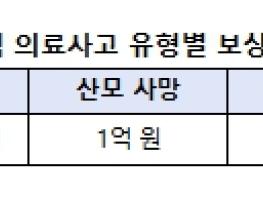 보건복지부, 불가항력 분만사고, 산모 중증장애까지 국가가 보상한다 기사 이미지