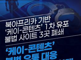 문화체육관광부, '케이-콘텐츠' 불법 유통 대응 국제공조 수사 확대 기사 이미지