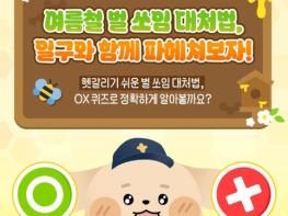 소방청, 헷갈리기 쉬운 벌 쏘임 대처법 기사 이미지