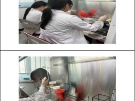 대구시, 2026-2027절기 첫 독감 바이러스 검출… 작년보다 한 달 빨라 기사 이미지