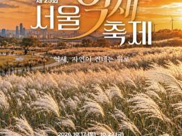 은빛 억새가 건네는 가을의 위로, 서울시 제25회 서울억새축제 개최 기사 이미지