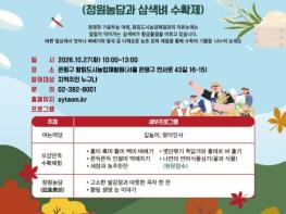 도심에서 즐기는 벼 베기…은평구, '향림 가을 이야기' 개최 기사 이미지