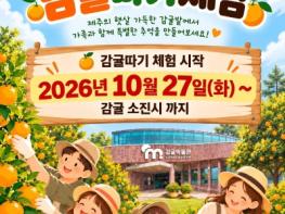 서귀포시 감귤박물관 2026년 감귤따기체험 운영 기사 이미지