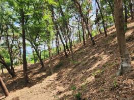양산시, 하반기 산불예방 숲가꾸기 사업 본격 추진 기사 이미지